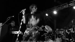 The Sensational Alex Harvey Band - Buff's Bar Blues@The Cluny,Newcastle 3-5-09