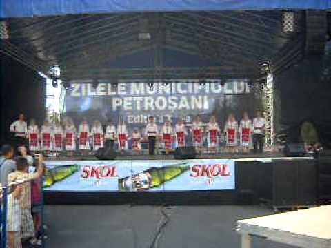 Ansamblul ,,Oltenasii'' Valea lui Patru