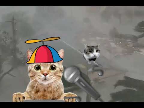 Jamal Cat Breaking News ...