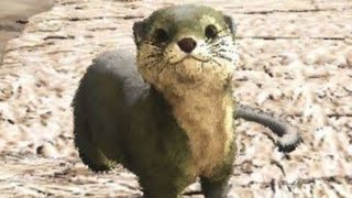 【ARK】カワウソの赤ちゃんにメロメロ