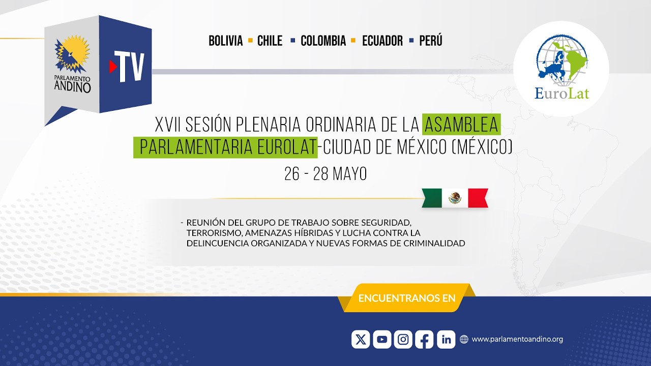 XVII Sesión Plenaria Ordinaria EuroLat: Grupo de Trabajo sobre Seguridad