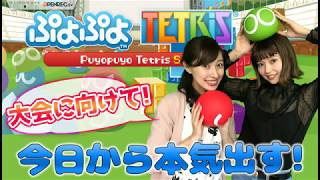 【2017/8/2配信】ぷよぷよテトリス / 大会に向けて今日から本気出す！【対戦者募集】