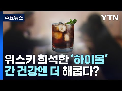 , title : '위스키 희석한 '하이볼' 인기...간 건강엔 더 해롭다? / YTN'