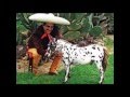 Vicente Fernandez - Desvelo de Amor