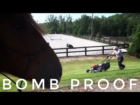 Bomb Proof | 2012 Extreme Mustang Makeover