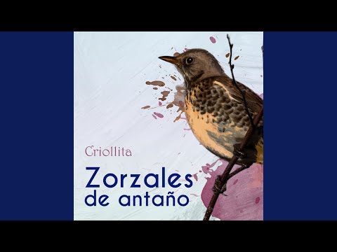 Rezongame En Las Orejas