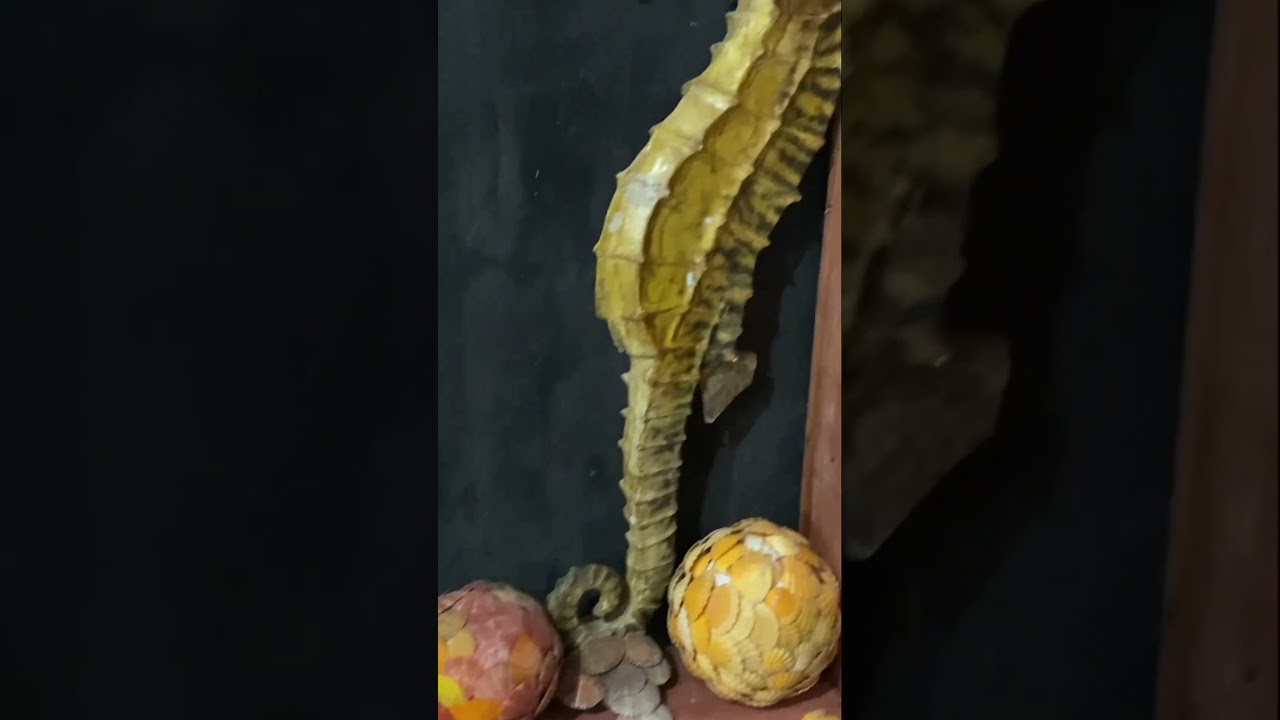 YouTube Short thumbnail