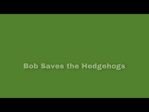 “Bob Saves the Hedgehogs” Title Green Screen