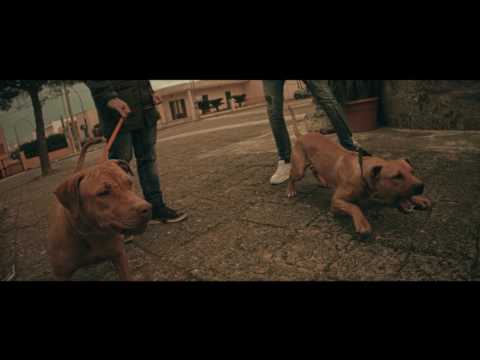 UCHIEMAN - Cinderella Freestyle STREET VIDEO (Prod. Danny E.B)