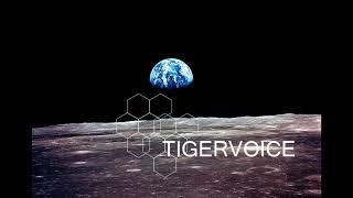 Tigervoice - In Principio Erat Verbum (Audio)