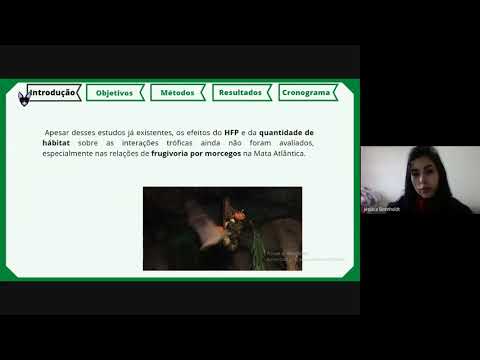 Influência da pegada humana e da quantidade de habitat sobre interações tróficas morcego-planta