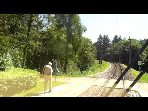 Linie S11 der AVG, Reichenbach - Busenbach