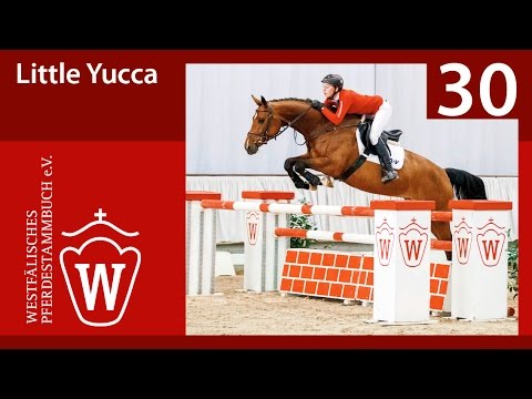 30 Little Yucca  Stute v. Lordanos - Zeus