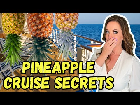 Swingers at Sea? The Truth Behind Pineapples, Cruise Culture, and the Lifestyle