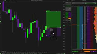 6   Types of Orders, OCO and Hedging fabio