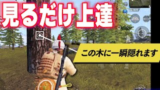 リビックでドン勝！詳しい解説つき PUBGモバイル【初心者向け】