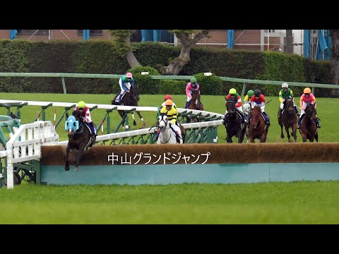 【生声解説】中山グランドジャンプ【オジュウチョウサン】