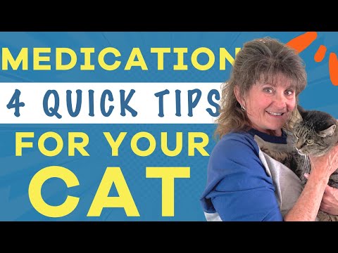 HOW TO KINDLY GIVE YOUR CAT MEDICATION // FOUR QUICK AND EASY STEPS