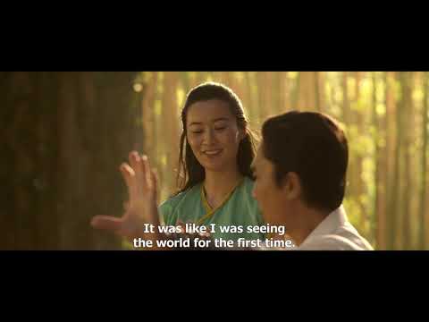 Shang Chi parents first meet