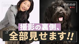 動画2