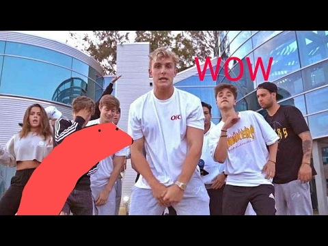 Snaa the snake reacts to "It's everyday bro" by Jake Pual