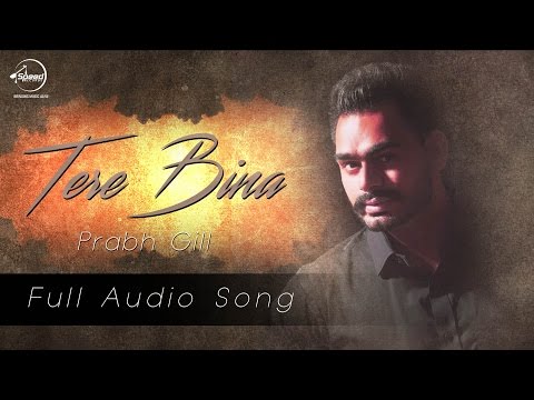 Tere Bina (Full Audio) — watch video