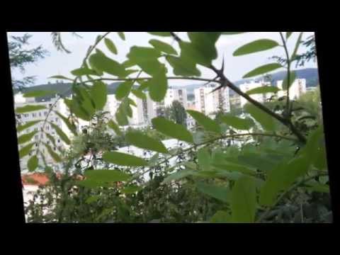 ÓZD - VÁRHEGYI KILÁTÓ 2015