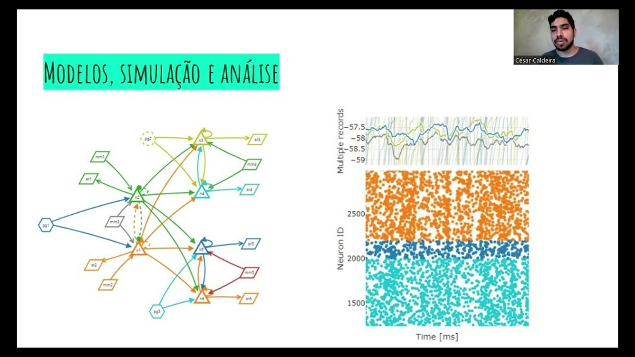 Afinal, o que é neurociência computacional