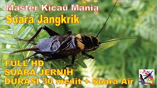 Download lagu Masteran Murai, Suara JANGKRIK Durasi Panjang   Terapi Suara Air Mengalir...FULL HD...!!! mp3
