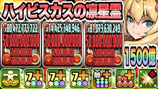 【パズドラ】ハイビスカスの凛星霊ロザリン！能力調整！一撃１５００億！ロザリン✕轟焦凍ループ！ロザリン×神威！虚降臨！