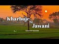 Kharbuje Si Teri Jawani Slowed Reverb New Dj Song Haryanvi Song