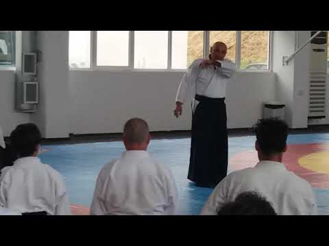 Seminar in Varna 15-17.06.2017 - Michele Quaranta - Video 10