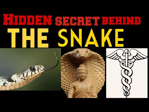 Spirituelle Wahrheit über die Schlange