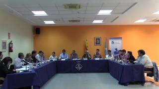 Ple ordinari de 30 de març de 2017 (2a part)