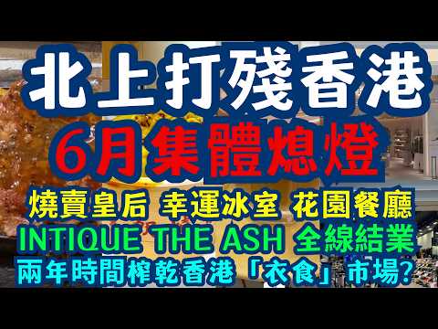 【2026香港大洗牌】元朗燒賣皇后、幸運冰室、花園餐廳集體熄燈！為什麼在香港做實體店，產品做好都不夠？、Intique、The Ash全線結業，真的是因為深圳太抵玩？
