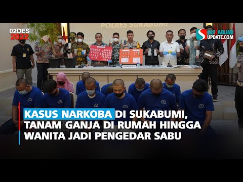 Kasus Narkoba di Sukabumi, Tanam Ganja di Rumah hingga Wanita Jadi Pengedar Sabu