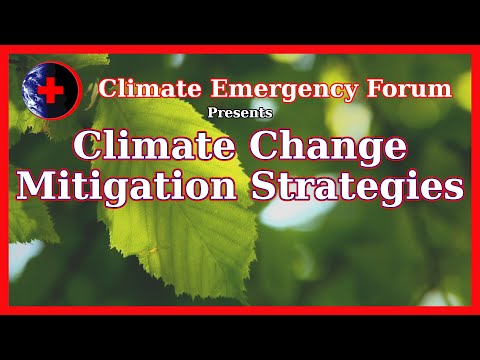 Climate Change Mitigation Strategies