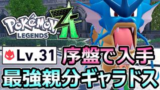【ポケモンZA】序盤から最強GET Lv30親分ギャラドス 入手方法 ヌルゲー注意【レジェンズ】
