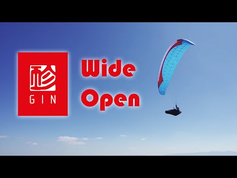 GIN Wide Open: THE FUN COMP