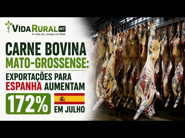 EXPORTAÇÕES PARA ESPANHA AUMENTAM 172% EM JULHO