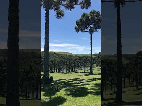 Água Doce - SC - BRAZIL - 01 Februay 2018