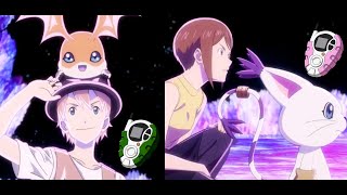 Download lagu Patamon and Tailmon Evolution - Digimon Adventure Last Evolution Kizuna [Fanmade] mp3