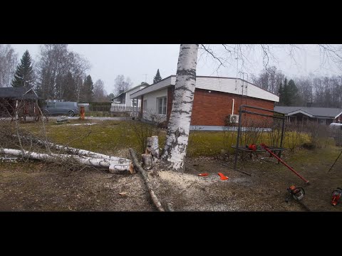 Miten kaadetaan tämä takakalteva rohjake?