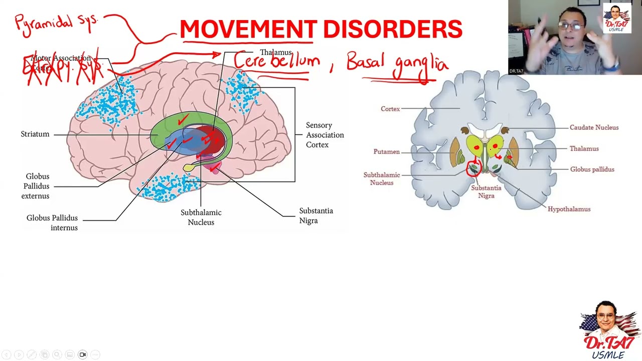 DR TA7: CNS PHARMACOLOGY 3