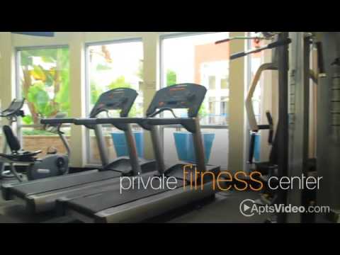 Avenue 64 Apartments in Emeryville, CA - ForRent.com