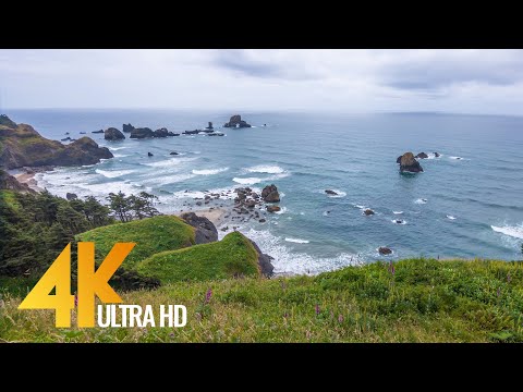 Pacific Northwest 1. Coastal Oregon - 4K Documentary Film with NO voice over - Relaxing Music