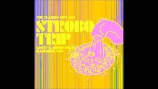 I Found a Star on the Ground - The Flaming Lips (6 hours song)