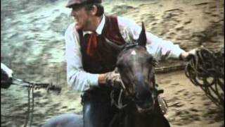 Отрывок из фильма "В поисках капитана Гранта" (1986 год). Ливень