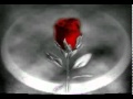 SALSA TE AMO TE EXTRAÑO, ORQUESTA ...