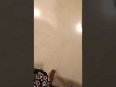 Cuteness overloaded(1)